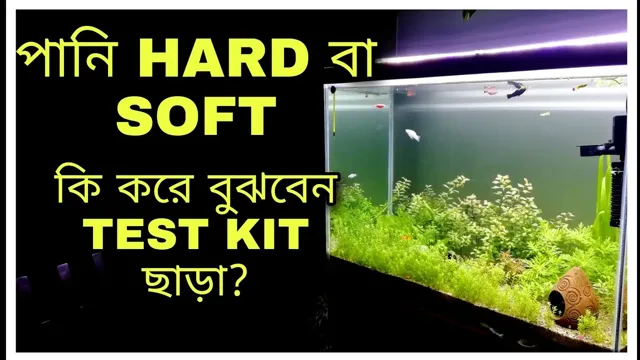 How to Make Hard Water Soft in Aquarium: 5 Simple Steps