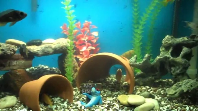 how to make high quality aquarium safe decorations