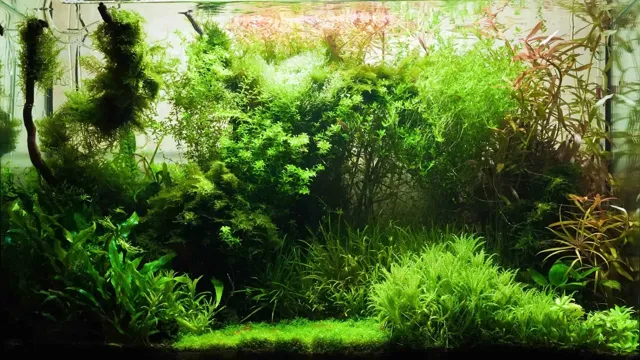 how to make hills in a planted aquarium
