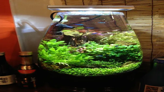 how to make homemade aquarium decorations