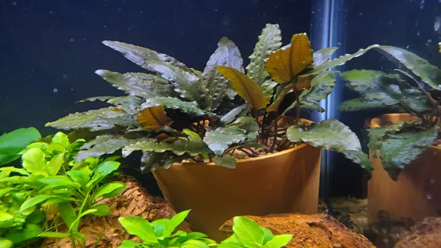how to make homemade aquarium plants