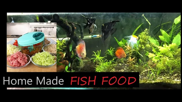 how to make homemade fish aquarium
