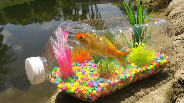 How to Make Homemade Fish Aquarium: A Step-by-Step Guide for Beginners