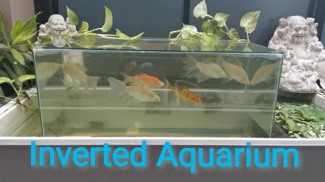 how to make inverted aquarium