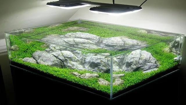 how to make large glass aquariums