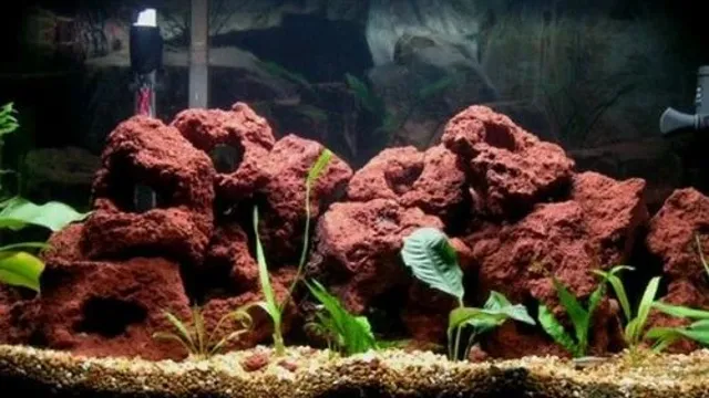 How to Make Lava Rock Stand Out Aquarium: Tips and Tricks for Stunning Aquascapes