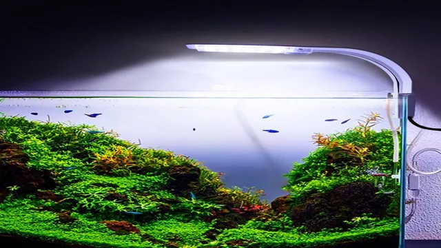 How to Make LED Aquarium Plant Light: A Step-by-Step Guide for Happy Aquatic Plants