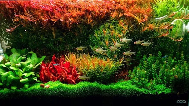 how to make liquid co2 for planted aquarium