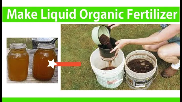 how to make liquid fertilizer for aquarium plants
