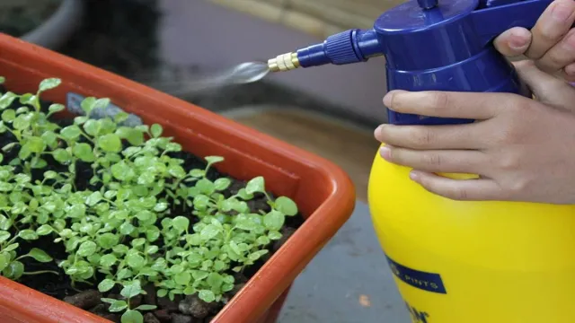 How to Make Liquid Fertilizer for Aquarium Plants – Easy DIY Tips