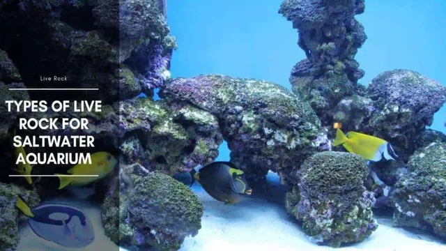 how to make live rock for aquarium