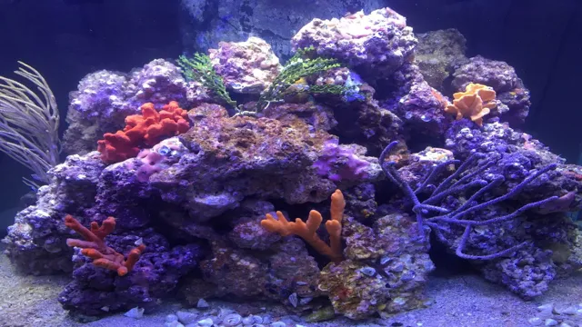 how to make live rock for saltwater aquariums
