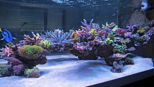 How to Make Live Rock for Saltwater Aquariums: A Step-by-Step Guide