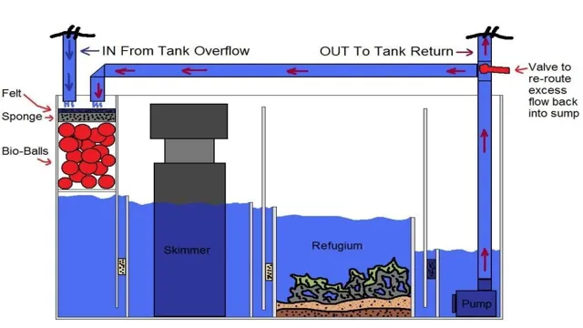 How to Make a Marine Aquarium Sump in 7 Easy Steps – A Beginner’s Guide.