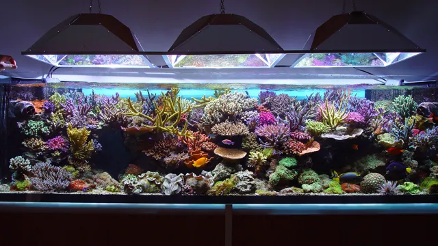 how to make marine water for aquarium