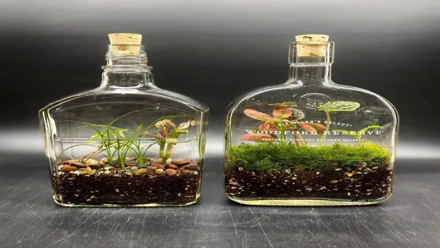 how to make mini aquarium in a bottle