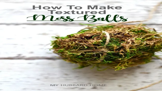 How to Make Moss Balls for Aquarium: A Step-by-Step Guide for Beginners