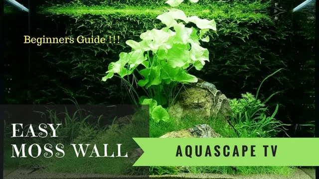 how to make moss wall aquarium