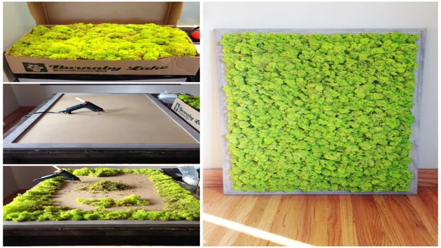 How to Make a Moss Wall Aquarium: Step-by-Step Guide to Creating a Stunning Aquatic Display