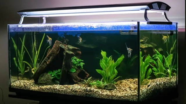 how to make my aquarium filter quieter