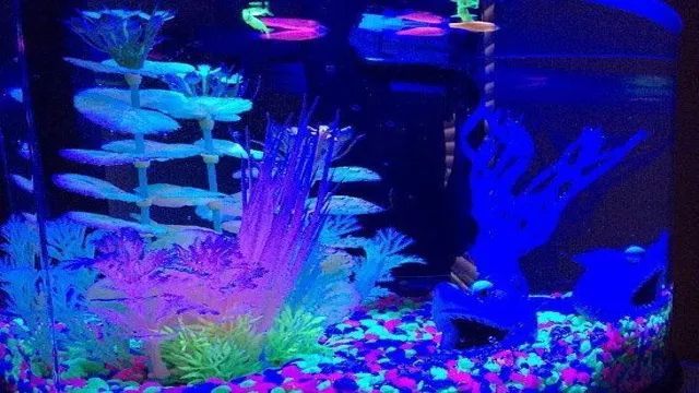 how to make my aquarium glow