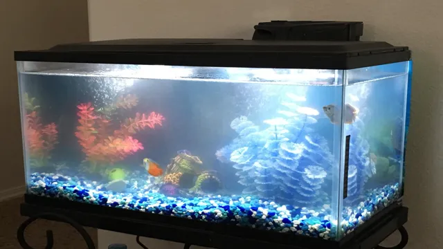 how to make my water clear in my aquarium