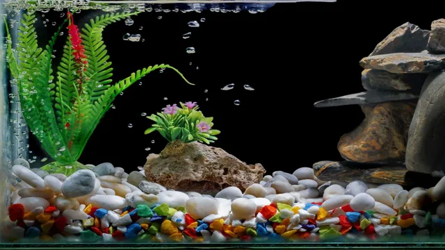 How to Make Objects Aquarium Safe: A Comprehensive Guide