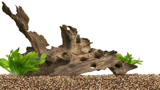 How to Make Your Own Driftwood for Aquarium: A Step-by-Step Guide