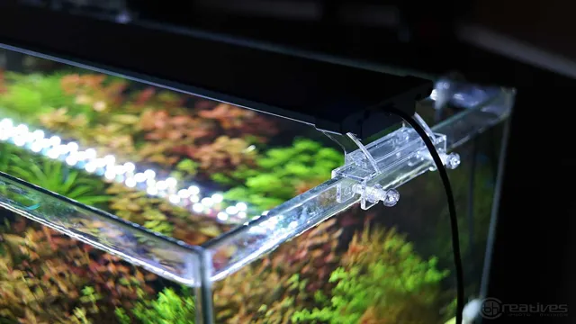 how to make planted aquarium light