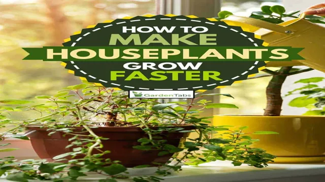 How to Make Plants Grow Faster in Aquarium: Tips and Tricks for Thriving Aquatic Gardens