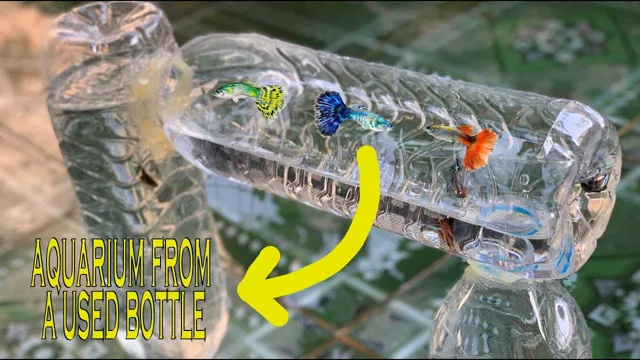 How to Make Plastic Aquarium: A Step-by-Step Guide