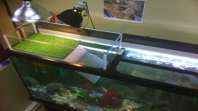 how to make platform for turtle in aquarium
