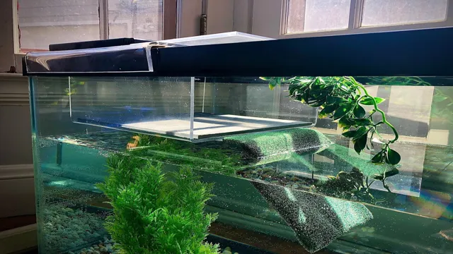 How to Make a Platform for Turtle in Aquarium: Step-by-Step Guide