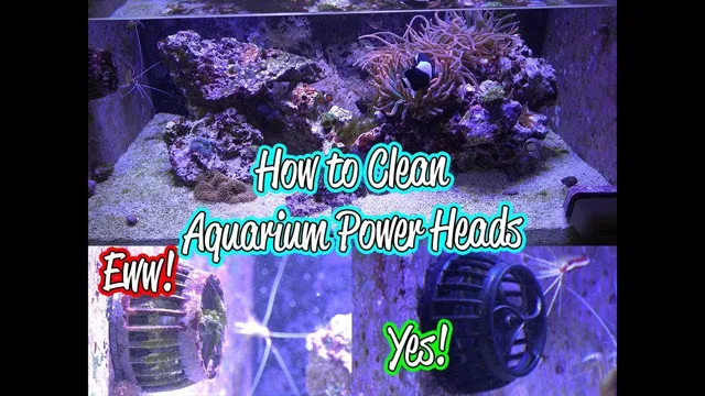 How to Make Powerheads on Aquarium Not Visible: Tips and Tricks