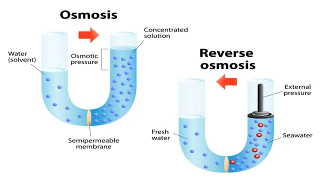 How to Make Reverse Osmosis Water for Aquarium: A Step-by-Step Guide