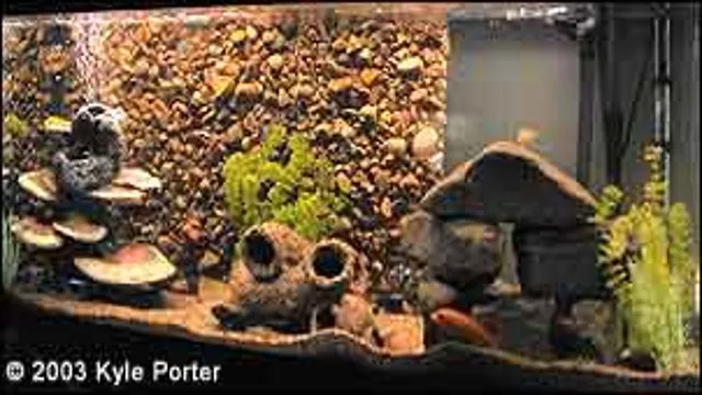 how to make rock aquarium background