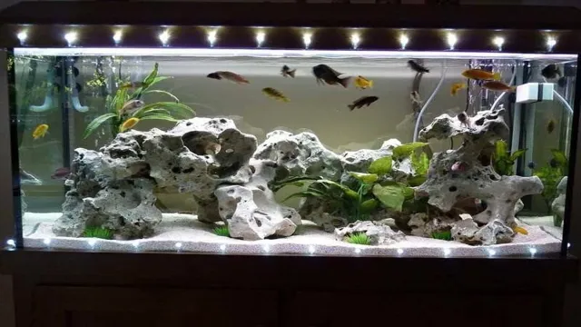 How to Make Rock Decorations for Aquarium: A Step-by-Step Guide for Stunning Aquascapes