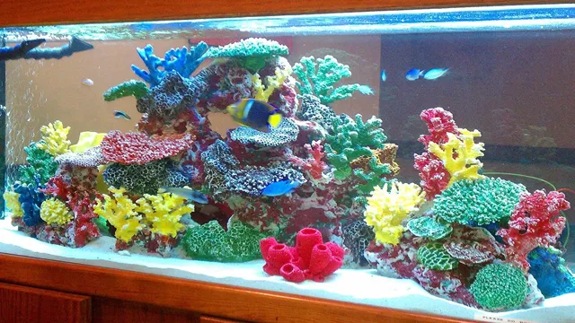 how to make saltwater aquarium decorations