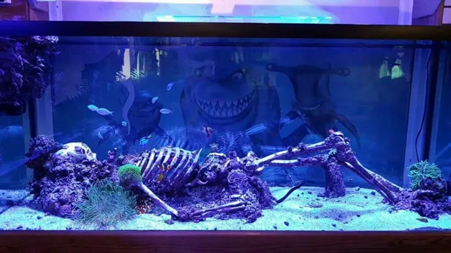 How to Make Saltwater Aquarium Decorations: DIY Ideas and Tips