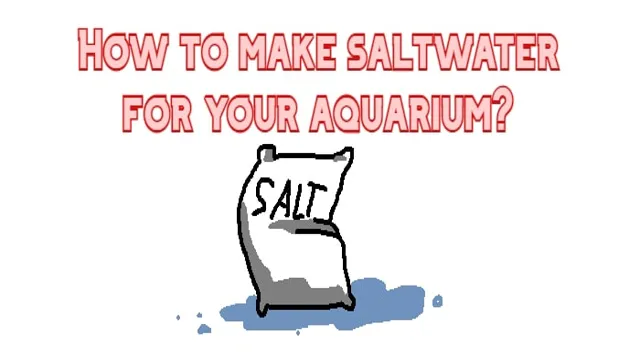 How to Make Saltwater for Fish Aquarium: A Comprehensive Guide