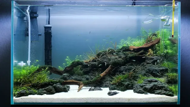 how to make sand settle faster in an aquarium