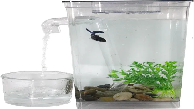 How to Make a Self-Cleaning Aquarium: Tips for Keeping Fish Tank Maintenance Easy