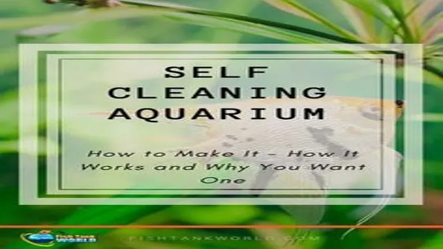 how to make self sustaining aquarium no filter