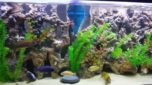 how to make styrofoam aquarium background