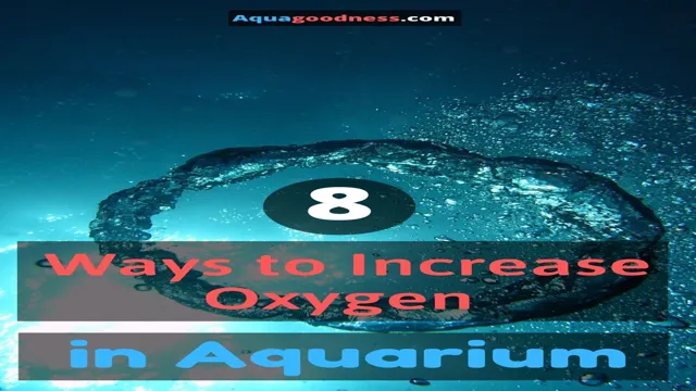 How to Make Sure Your Aquarium Has Enough Oxygen: Tips and Tricks