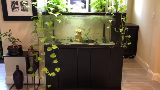 How to Make a Sweet Potato Holder in Aquarium Tank for Your Fish