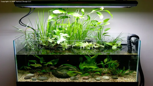 how to make the top of an aquarium