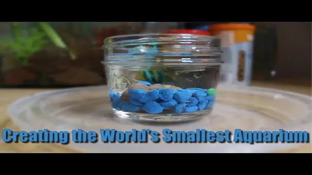 how to make the world's smallest aquarium