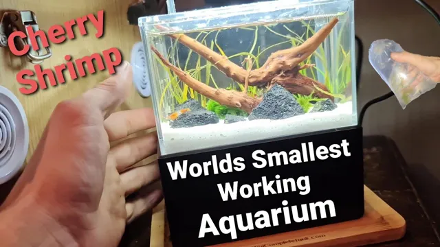 How to Make the World’s Smallest Aquarium: A Step-by-Step Guide