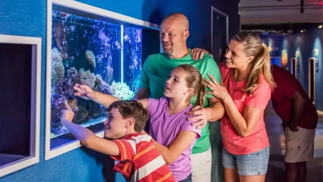 How to Make Things Aquarium Safe: Tips for a Healthy Underwater Habitat